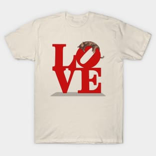 Philly Cat Love T-Shirt